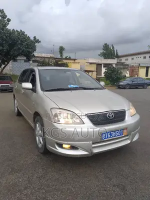 Toyota Corolla 1.4 2004 Gris