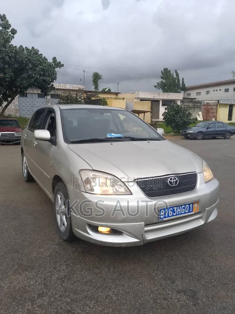 Toyota Corolla 1.4 2004 Gris
