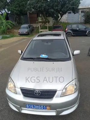 Toyota Corolla 1.4 2004 Gris