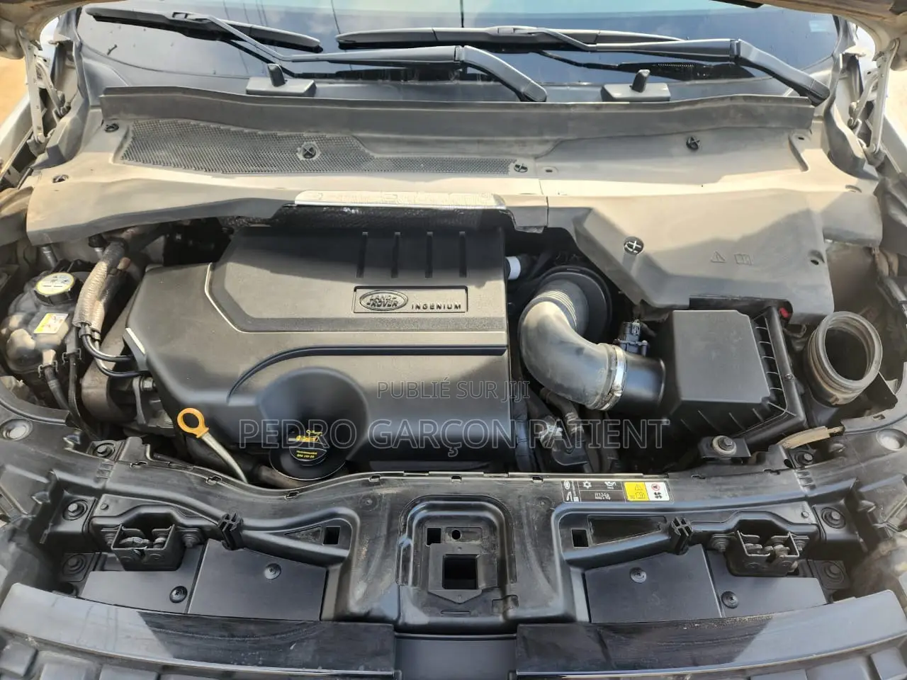 Land Rover Discovery 2022 Blanc