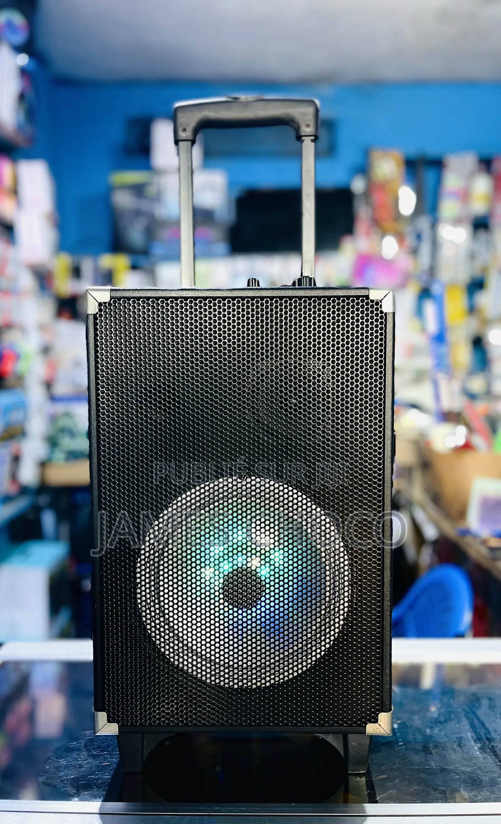 Puissant Haut-Parleur Audio Bluetooth Portable Rechargeable