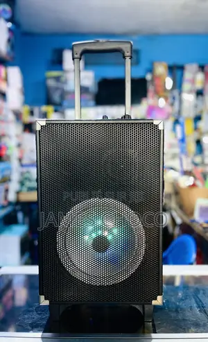 Puissant Haut-Parleur Audio Bluetooth Portable Rechargeable