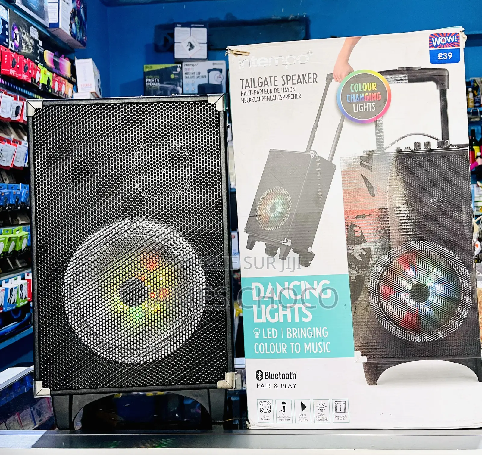 Puissant Haut-Parleur Audio Bluetooth Portable Rechargeable