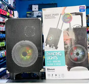 Puissant Haut-Parleur Audio Bluetooth Portable Rechargeable