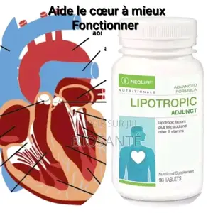 Lipotropic (Le Bon Fonctionnement Du Coeur)