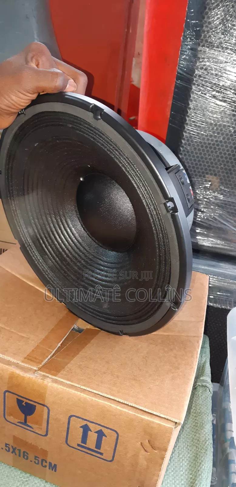 Original Baffle RCF 31" Gros Aiment