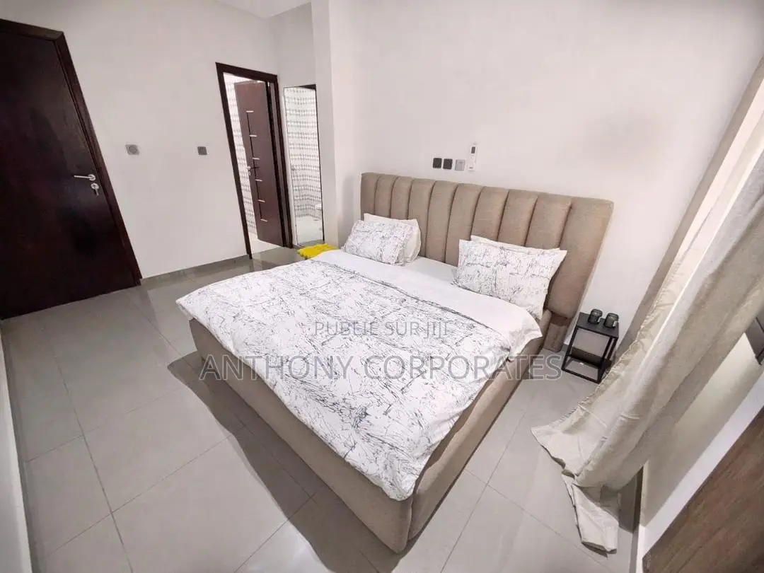 Appartement Meuble De Standing De 03 Pieces Angre Chu