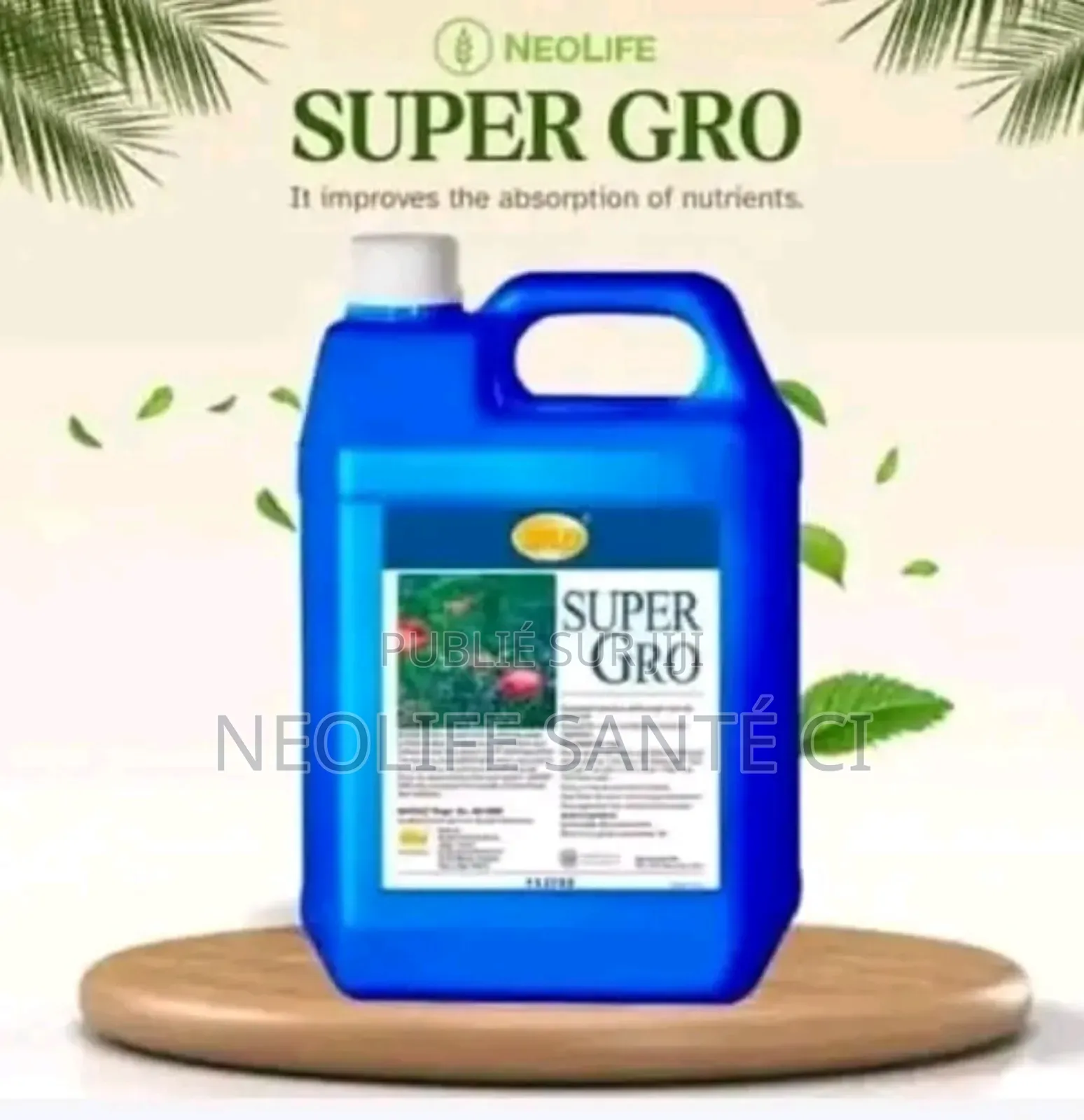 Engrais Super Gro ( Original 100% Bio 5l)