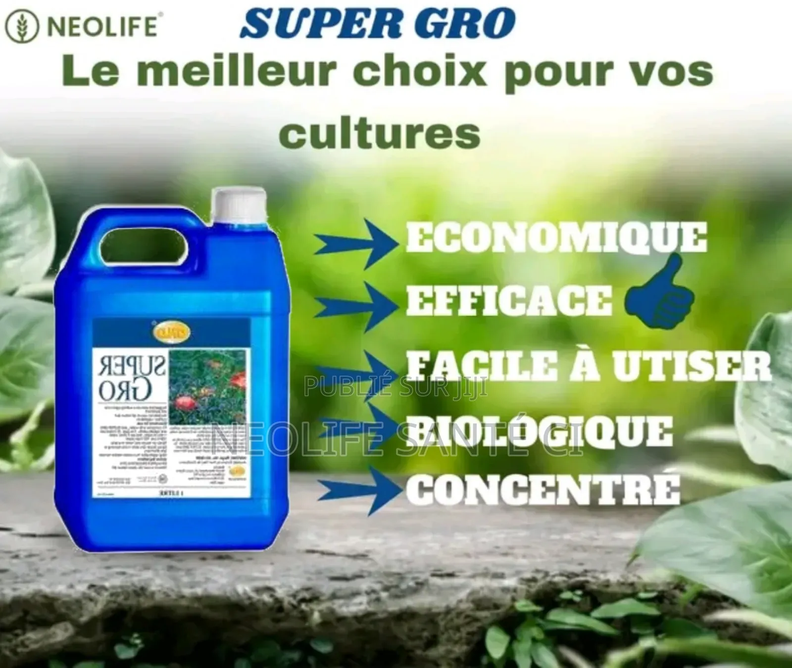 Engrais Super Gro ( Original 100% Bio 5l)