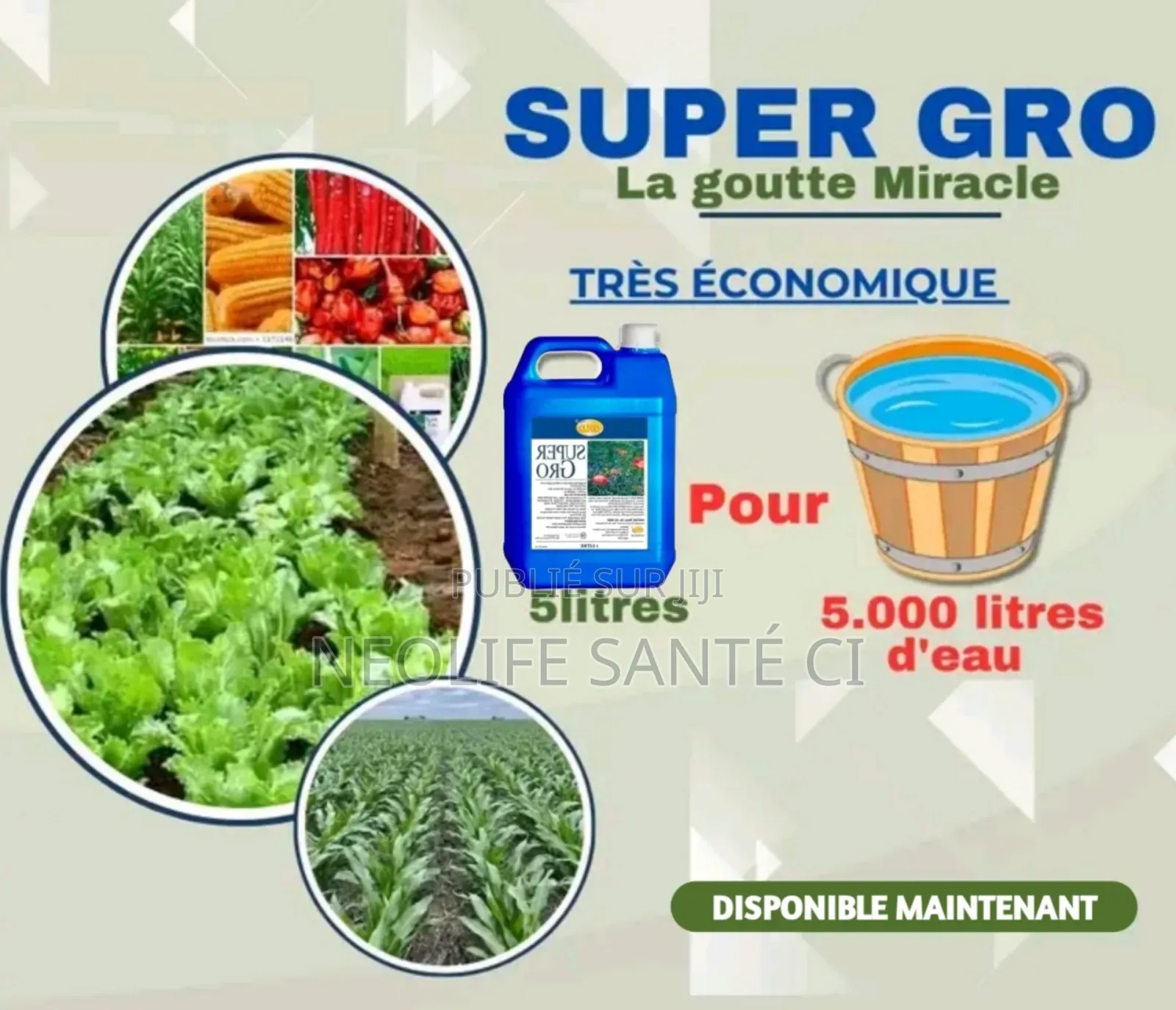 Engrais Super Gro ( Original 100% Bio 5l)