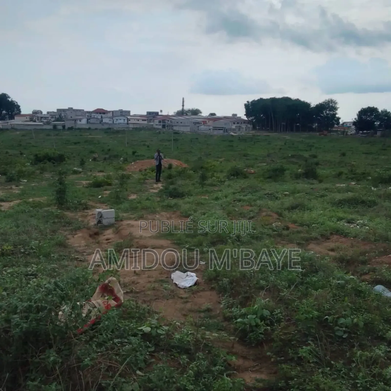 Terrain, Bingerville À Vendre