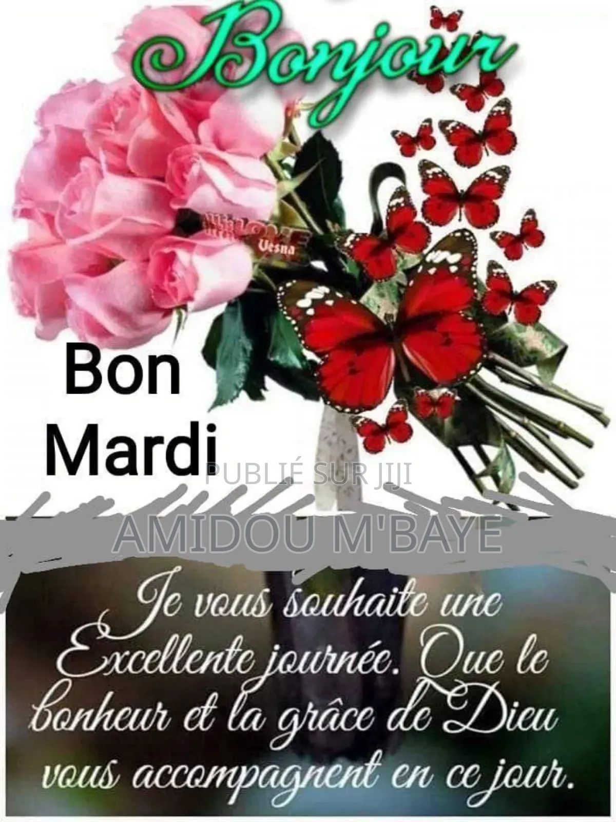 Terrain, Bingerville À Vendre