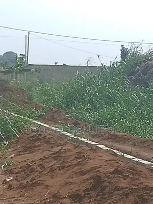 Propriétaire Terrien Dans l'Urgence Brade 3 Lots De 500m2