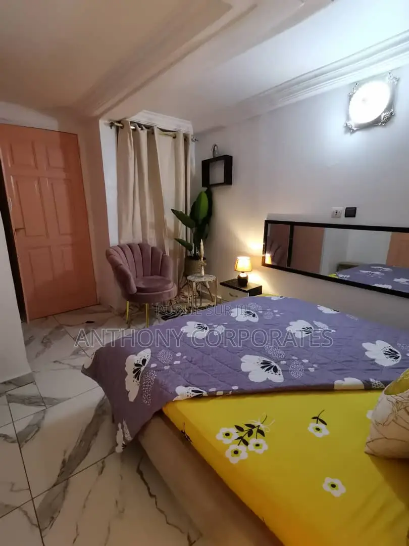 Appartement 02 Pieces Meuble Rond Point Blockaus