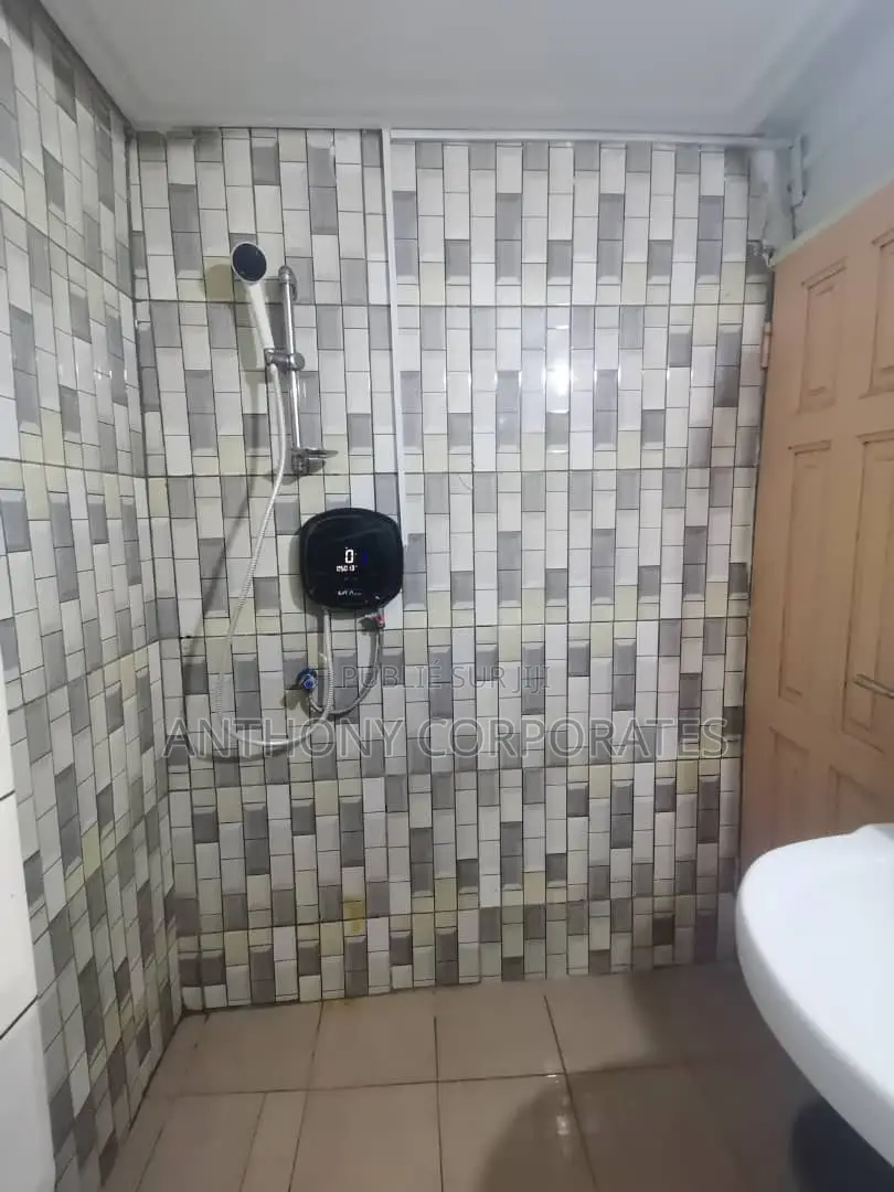 Appartement 02 Pieces Meuble Rond Point Blockaus