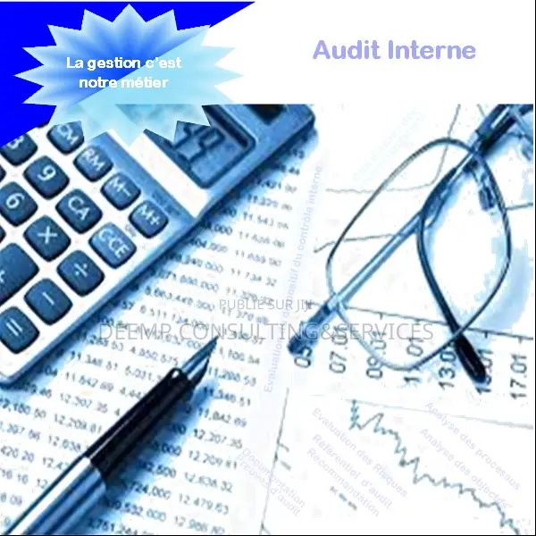 Mise en Place d'Un Système Contrôle De Gestion Dans Pme-Pmi,