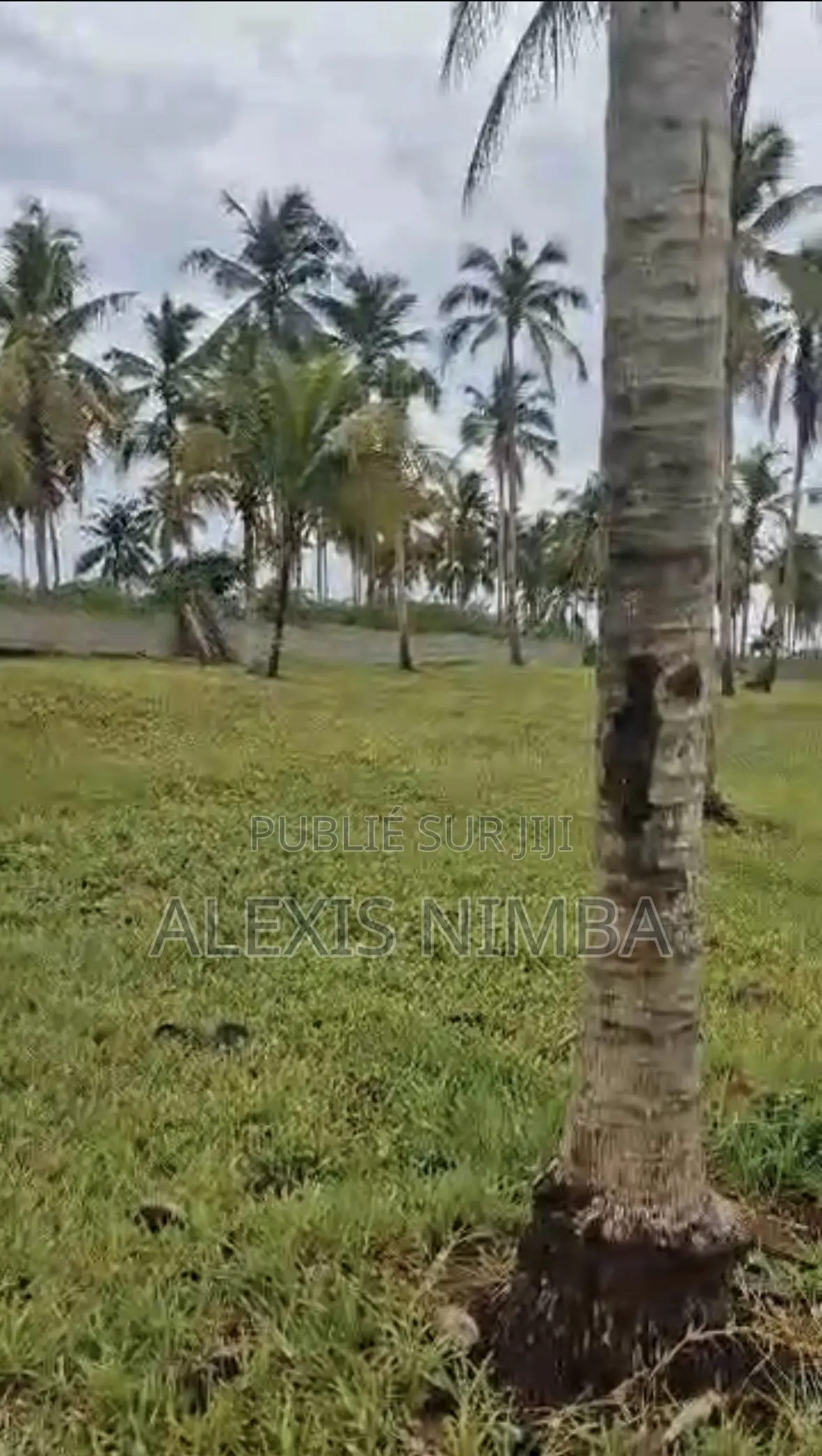 En Vente 2900m2 Bordure Lac Brakré Baie Des Milliardaires