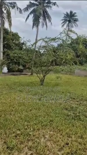 En Vente 2900m2 Bordure Lac Brakré Baie Des Milliardaires