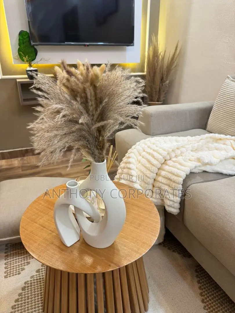 Un Appartement Meublé Hautement Équipé À La Riviera 3