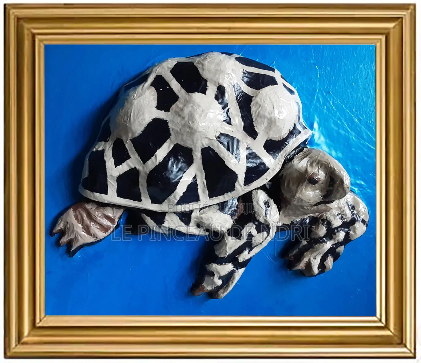 Elegante Tortue