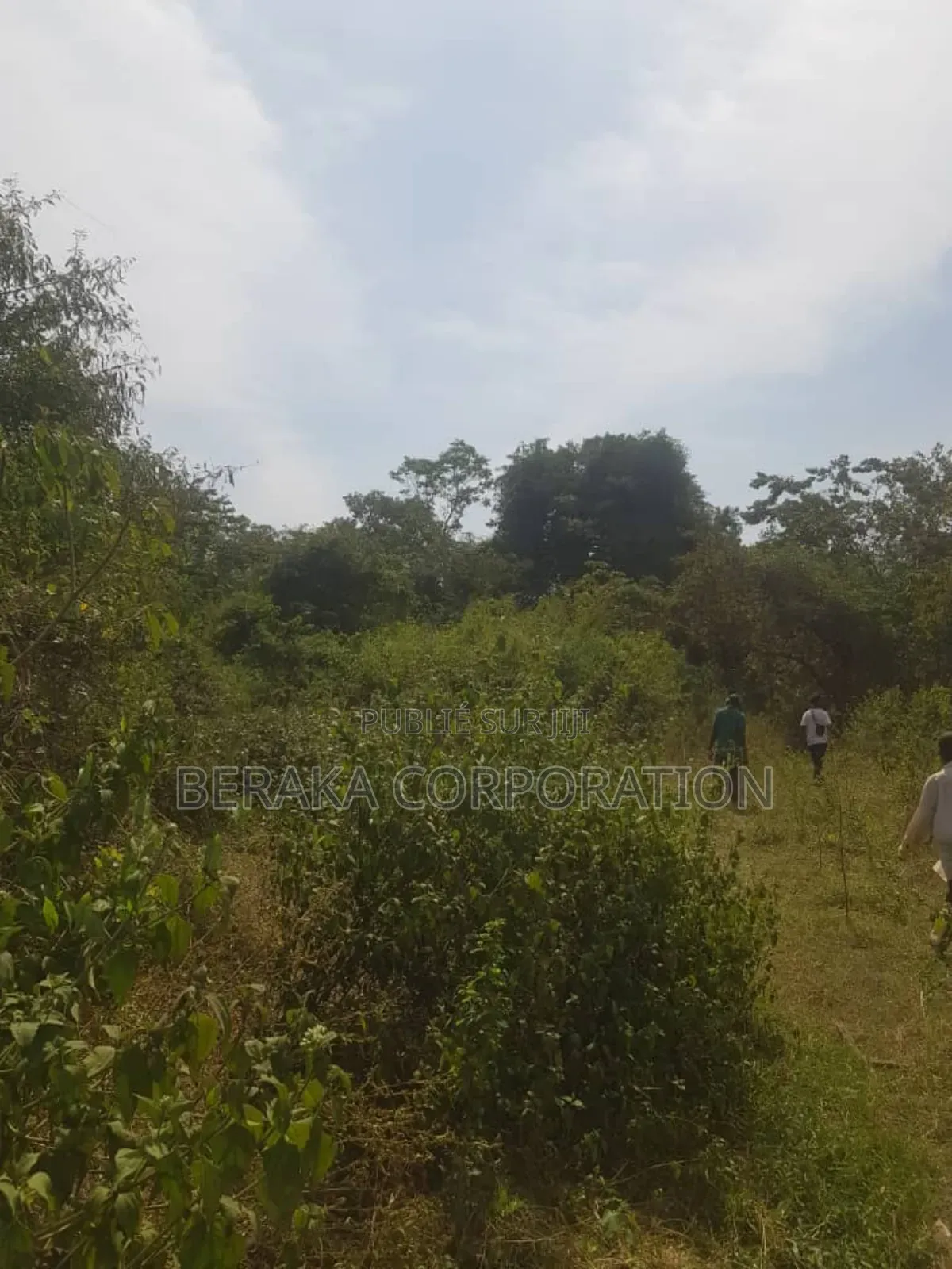 Parcelle Agricole De 27 Ha en Vente