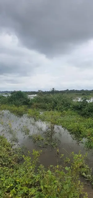 Parcelle Agricole De 27 Ha en Vente