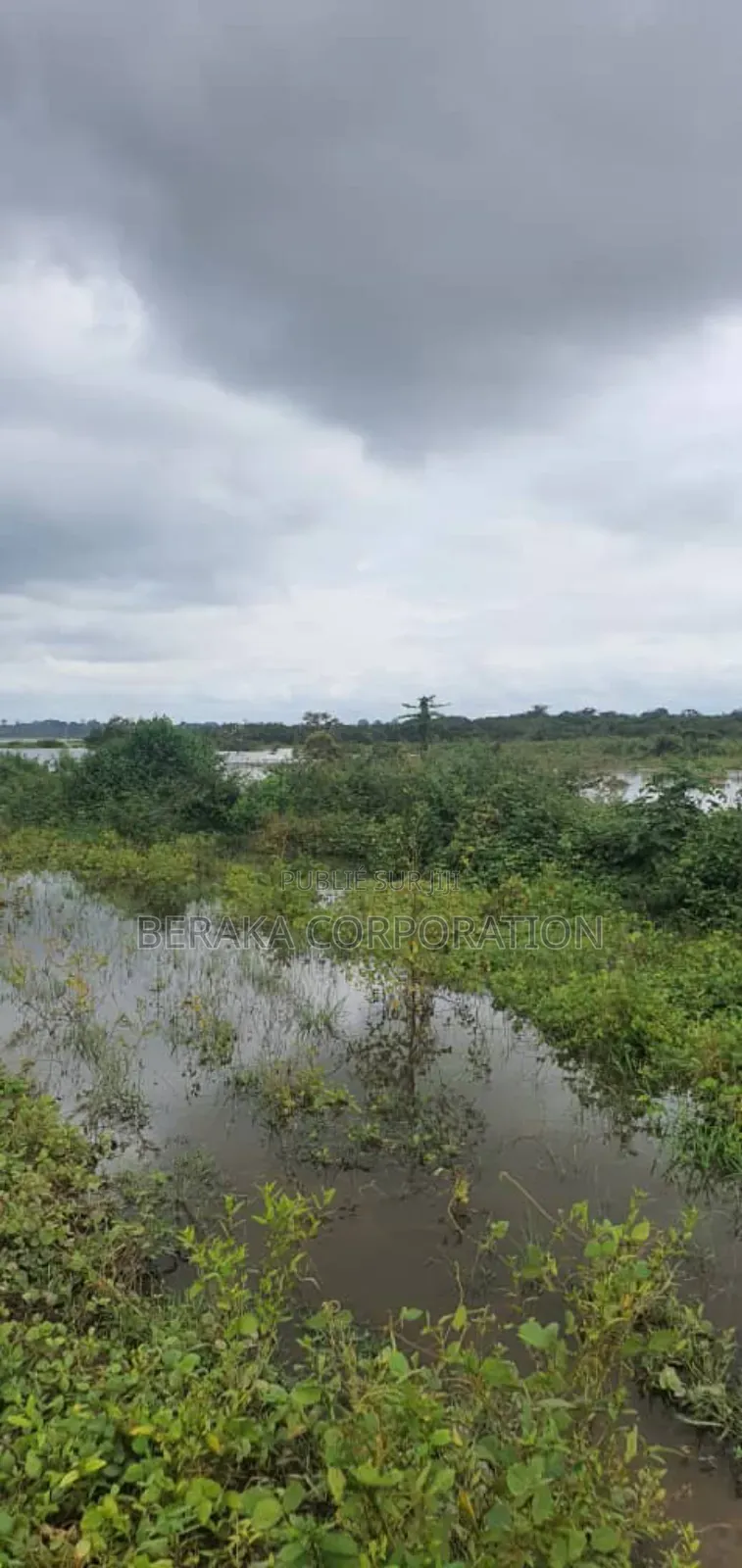 Parcelle Agricole De 27 Ha en Vente