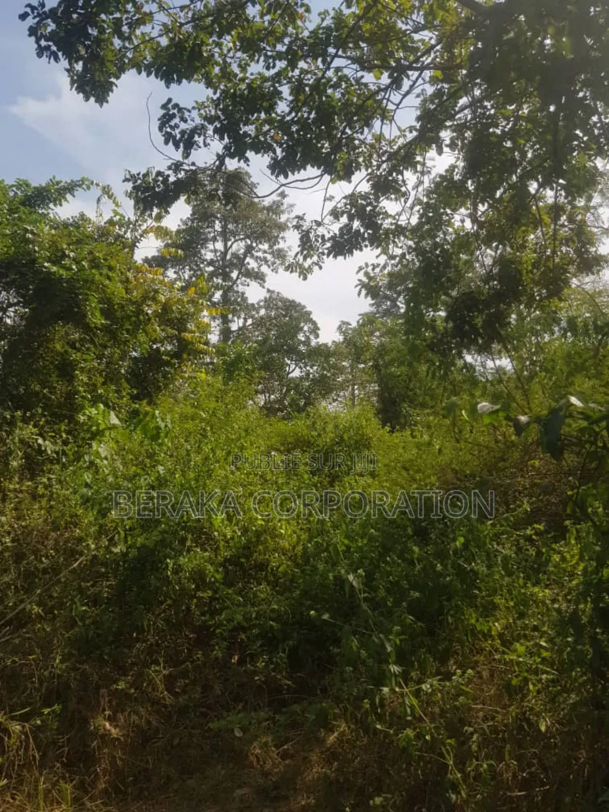 Parcelle Agricole De 27 Ha en Vente