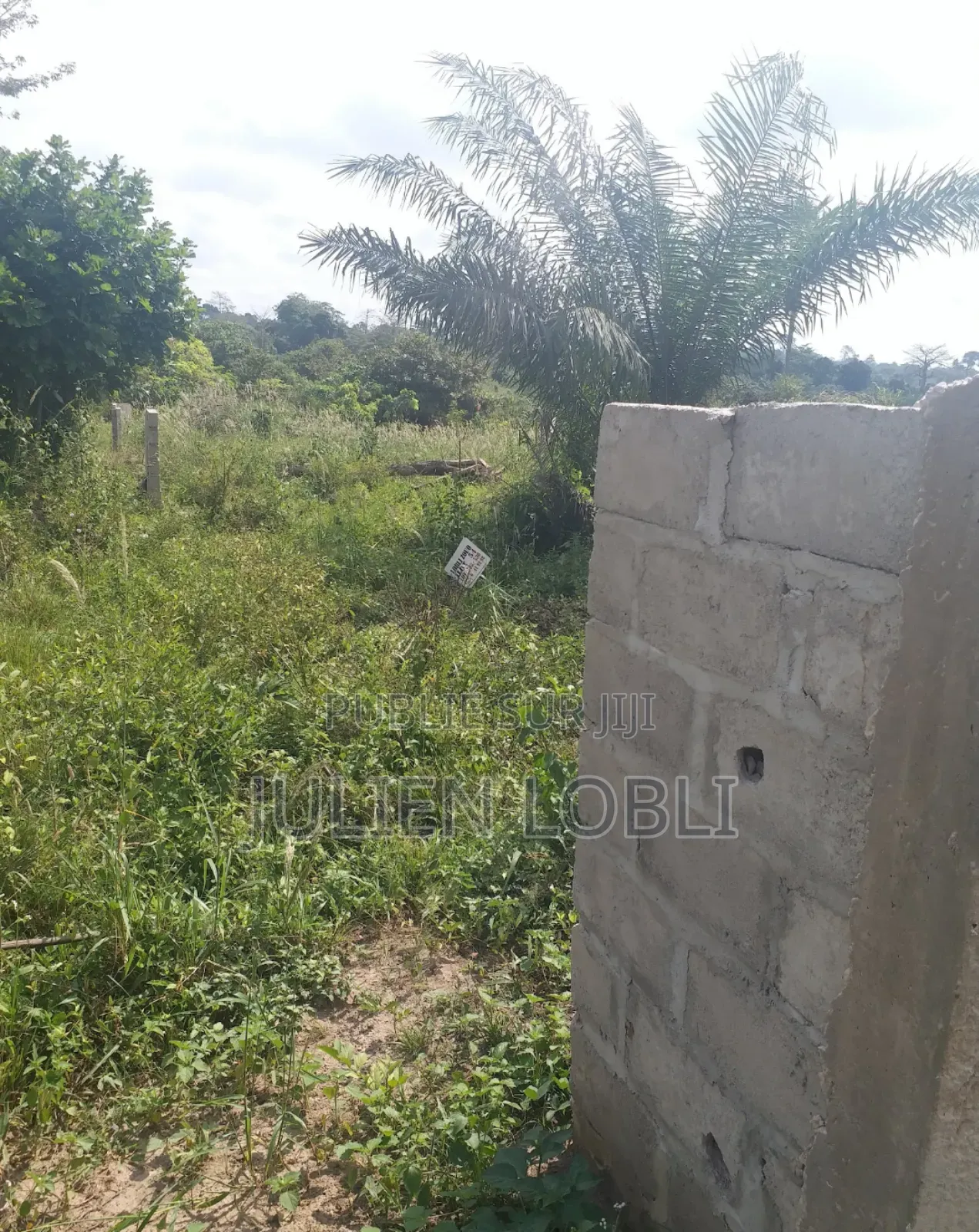 Terrains Avec Acd À Vendre À Yamoussoukro