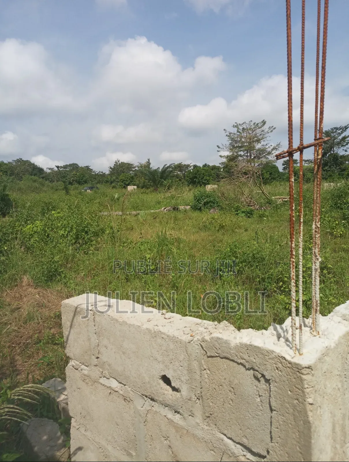 Terrains Avec Acd À Vendre À Yamoussoukro