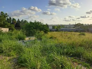 Cocody Ambassade Un Terrain De 4300m2 en Vente Avec Acd