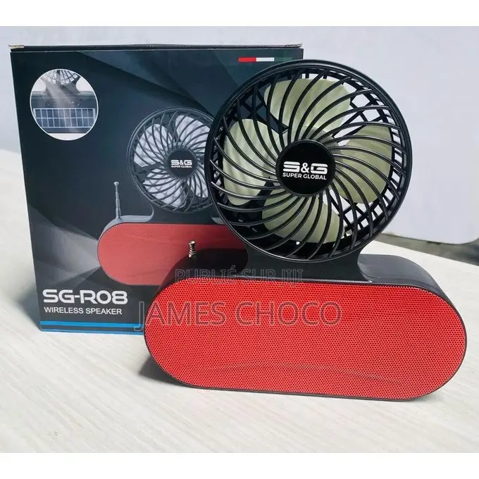 Enceinte Bluetooth Sg-R08 / Haut-Parleur Radio