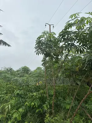 1300m2 Avec Acd en Vente Baie Des Milliardaires