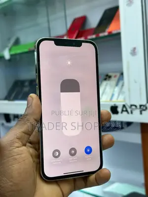 Pomme iPhone 12 Pro Max 256 GB Blanc