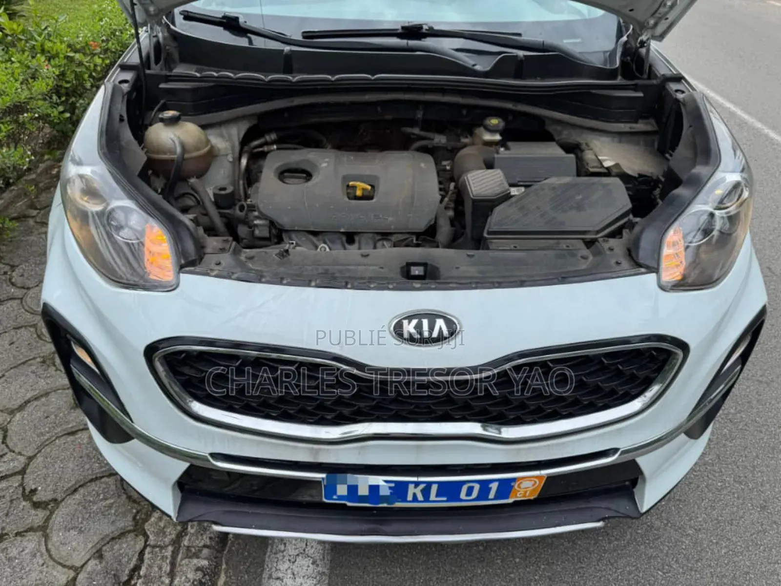 Kia Sportage EX 2022 Blanc