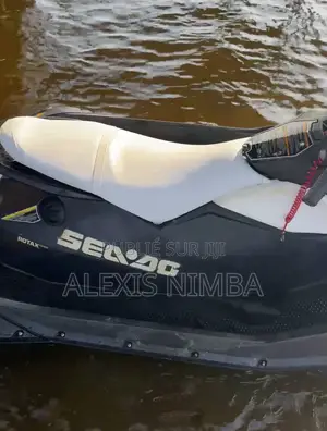 Jet Ski Spark Année 2015