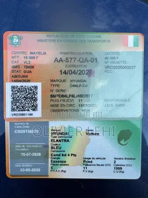 Hyundai Elantra ECO 2020 Bleu