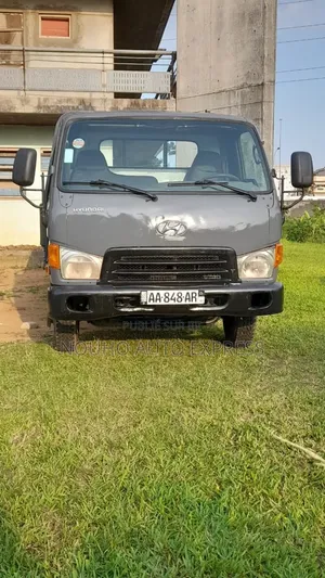 Photo - Hyundai County 2010 Gris