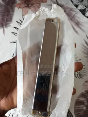 Harmonica Diatonique Bee 24 Cases