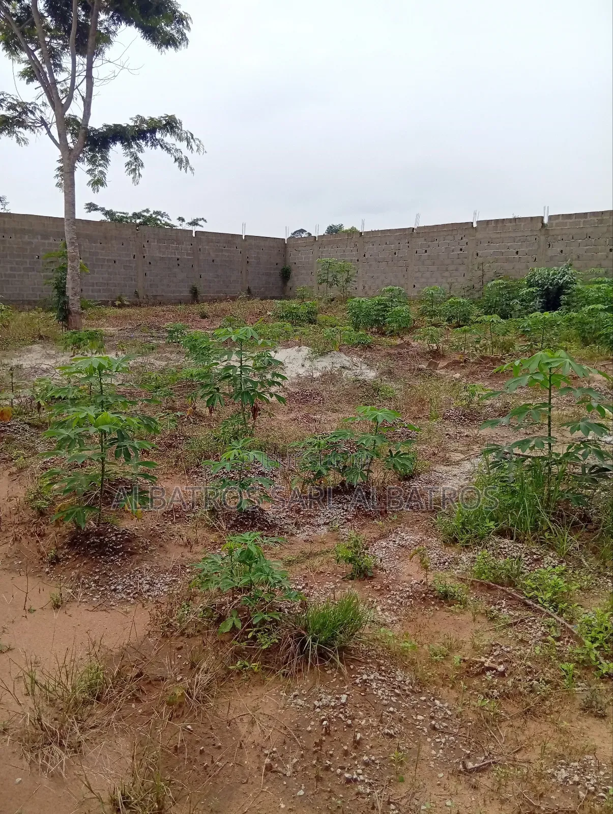 Terrain 1000 M2