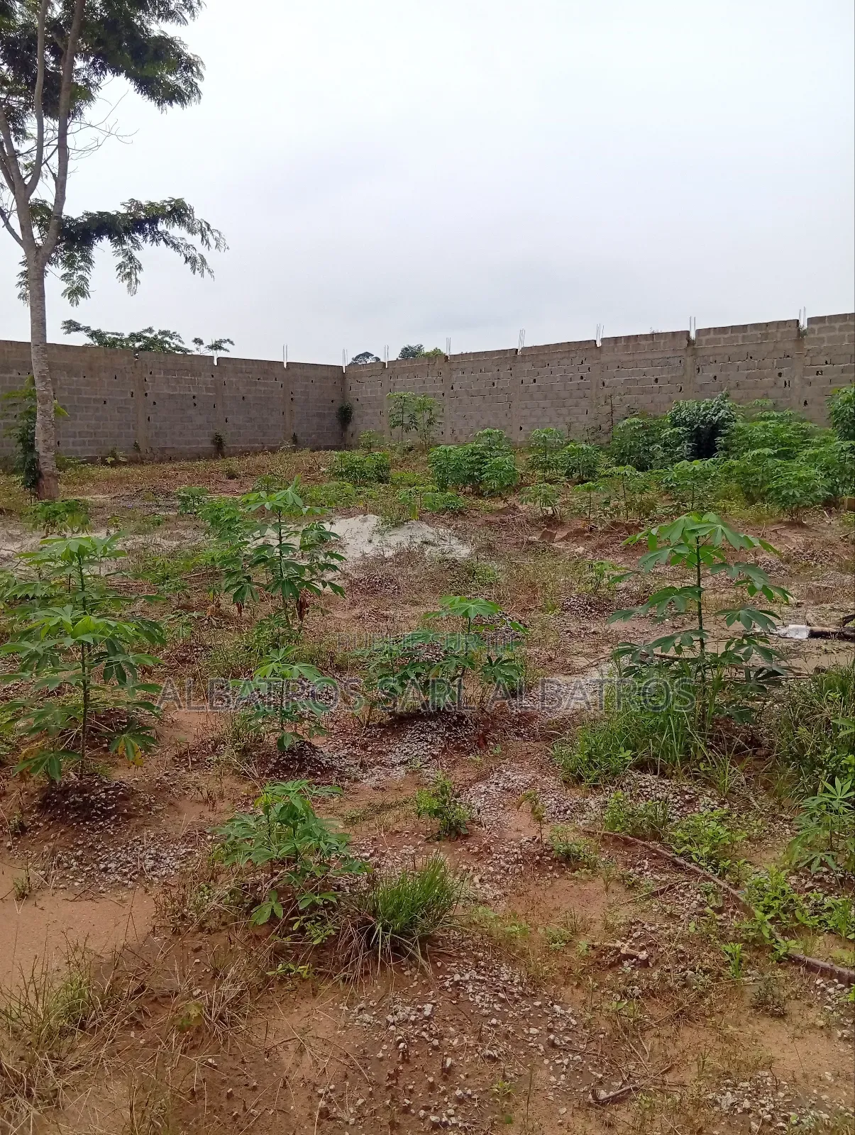 Terrain 1000 M2