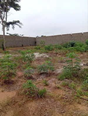 Terrain 1000 M2