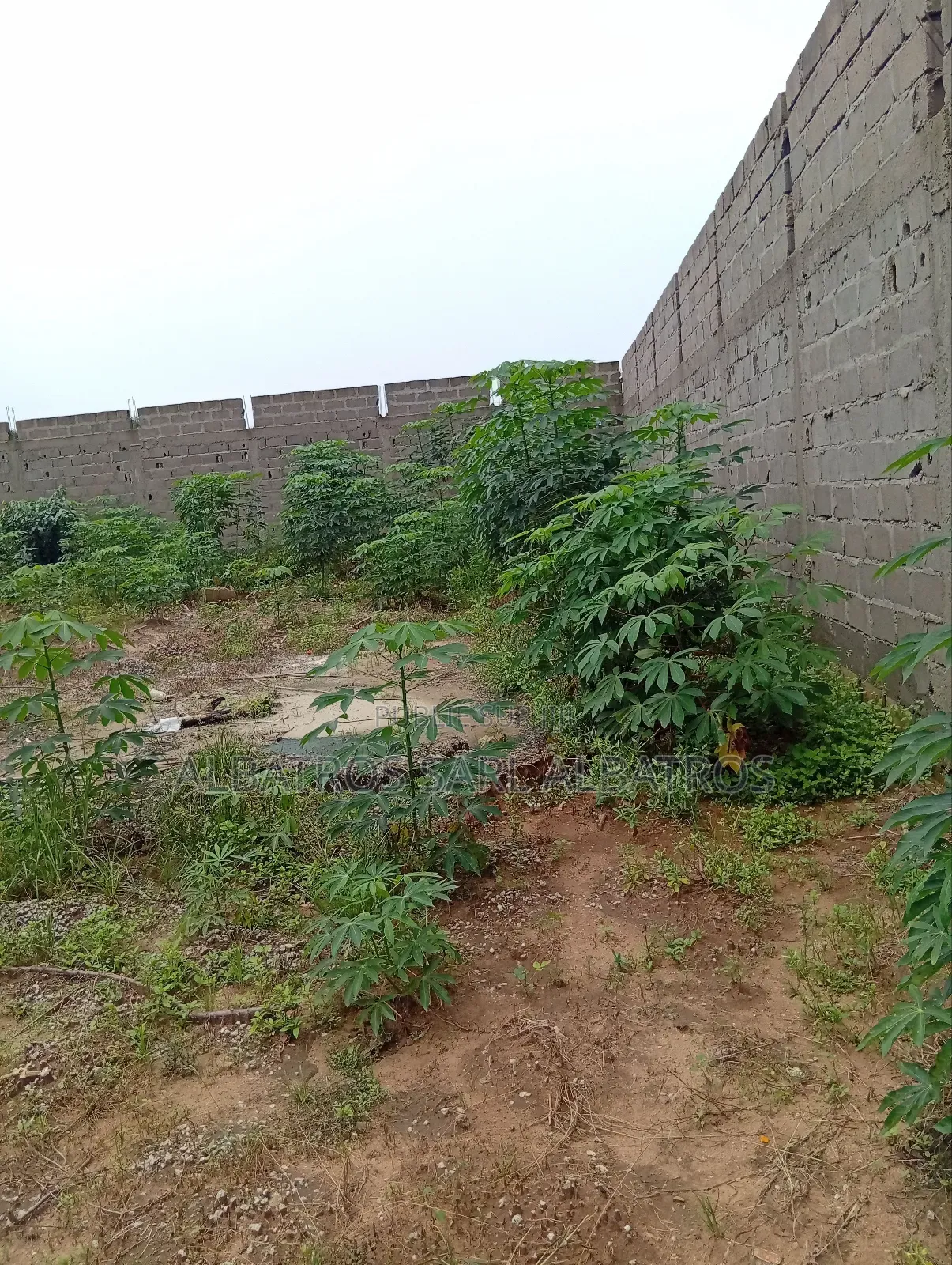 Terrain 1000 M2