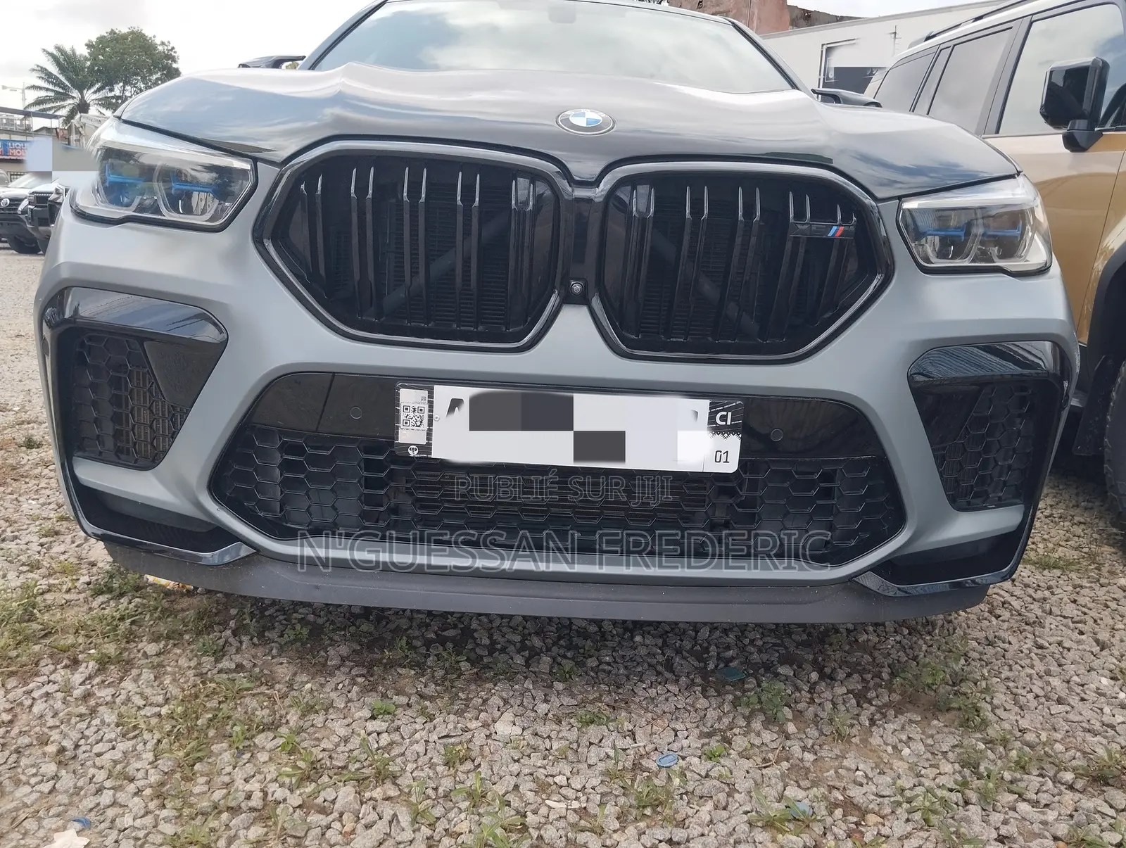 BMW X6 2020 Gris