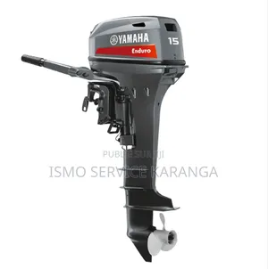 Photo - Des Nouveaux Moteurs De Bateaux 15 Chevaux Disponibles