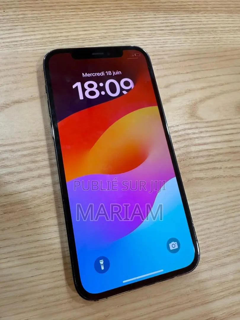 Pomme iPhone 12 Pro 256 GB Autre