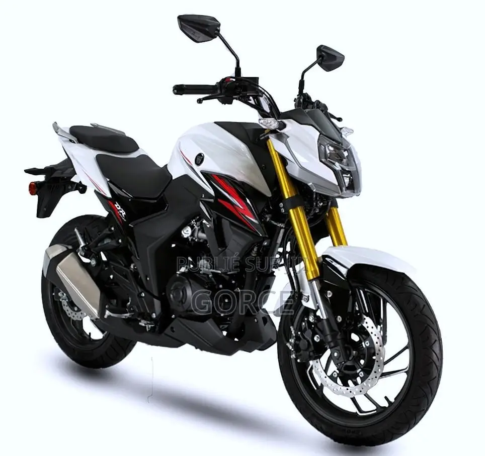 New Haojue DR300 2024 Noir