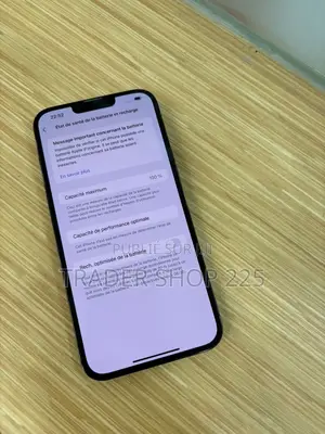 Pomme iPhone 13 Pro Max 256 GB Gris