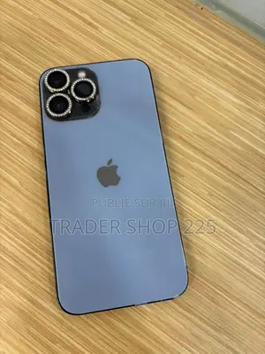 Pomme iPhone 13 Pro Max 256 GB Gris