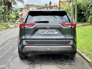 Toyota RAV4 Limited AWD 2020 Gris